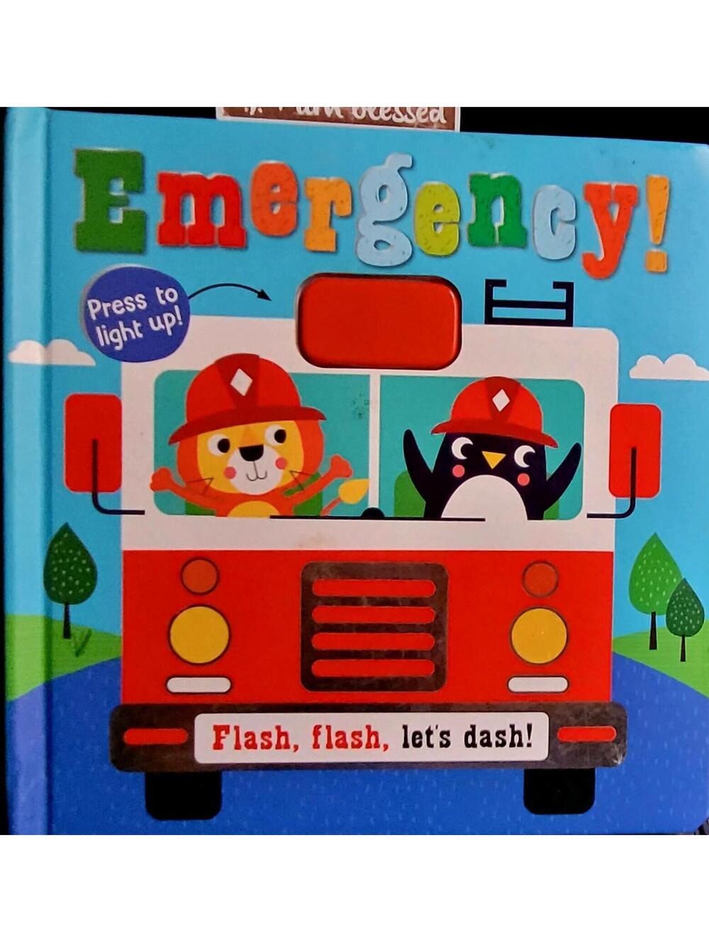Emergency! Flash Flash Let's Dash Hardcover Kids Book Hayley Kershaw